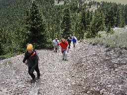 Trail up Baldy